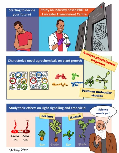 final version phD industry